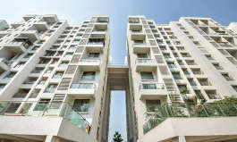 pride-purple park titanium